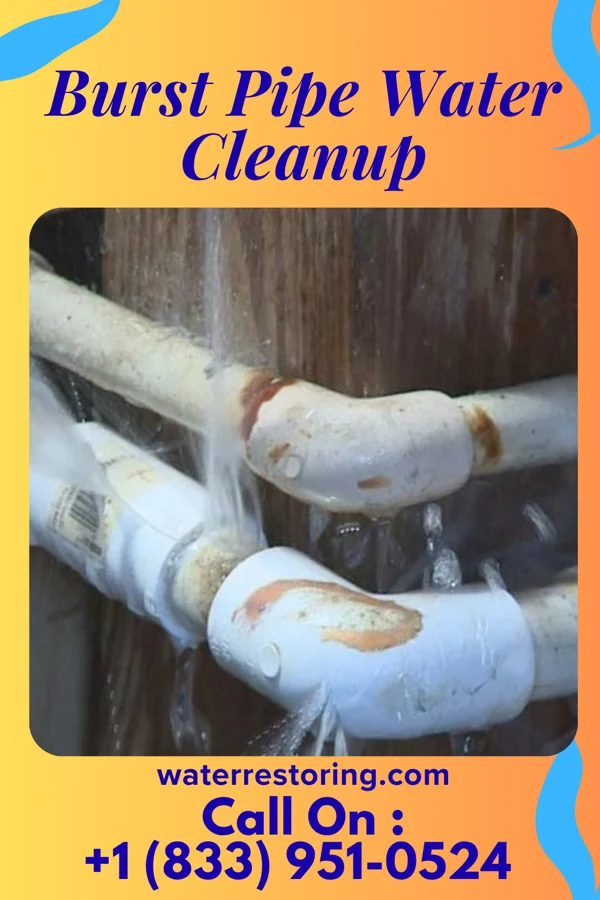 Burst Pipe Water Cleanup in Potters Mills, PA