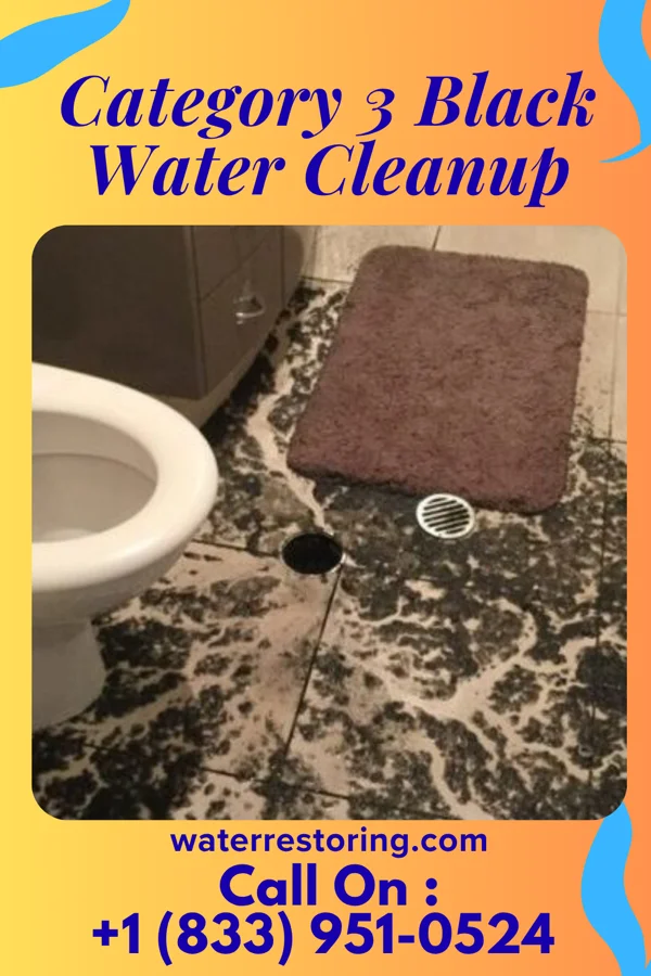 Category 3 Black Water Cleanup in Potters Mills, PA