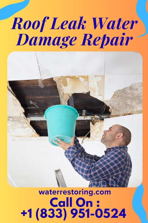 Roof Leak Water Damage Repair in Potters Mills, PA