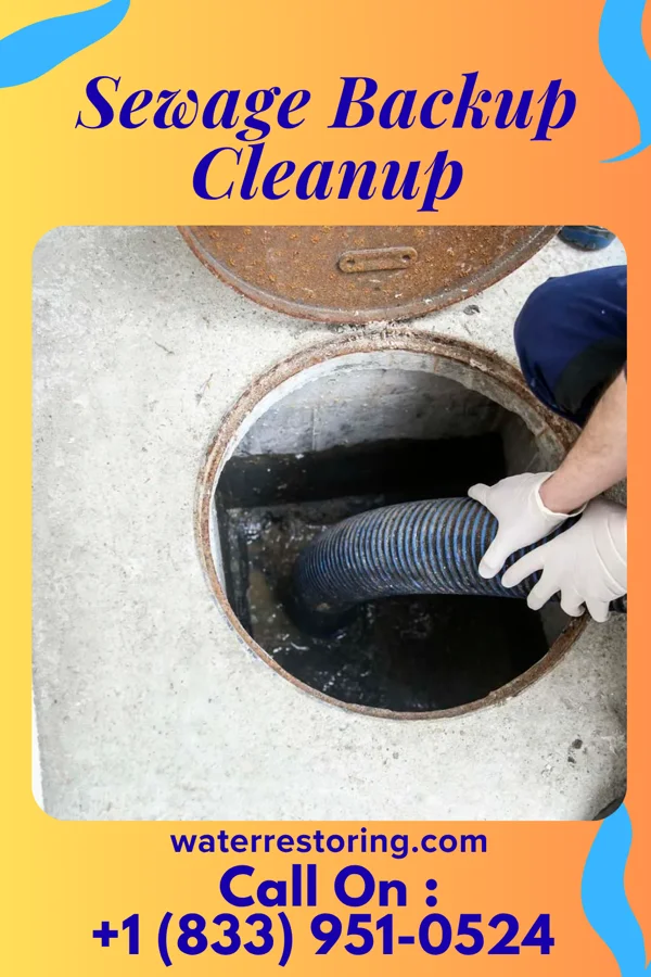 Sewage Backup Cleanup in Potters Mills, PA