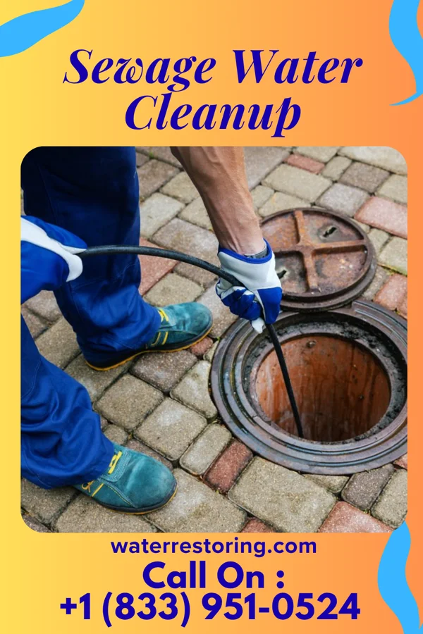 Sewage Water Cleanup in Potters Mills, PA